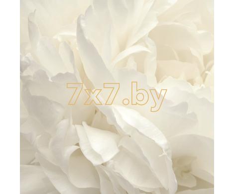 Atmosphere G78424 Панно