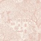 Fairyland 8146
