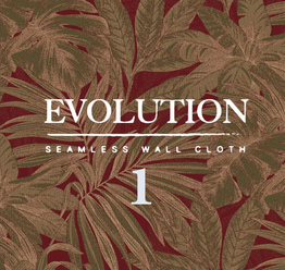 Evolution 1