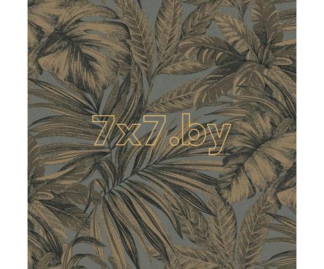 Evolution 1 BWE01102