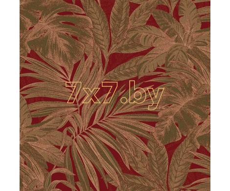 Evolution 1 BWE01104