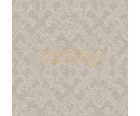 Evolution 1 BWE01302