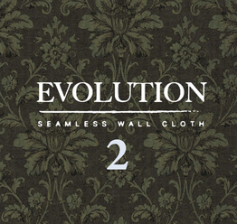Evolution 2