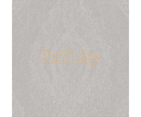 Evolution 2 BWE02204