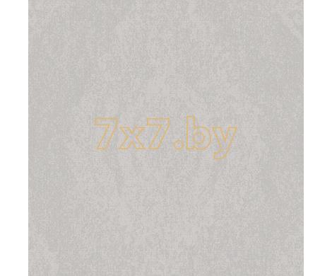 Evolution 2 BWE02205