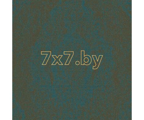 Evolution 2 BWE02207