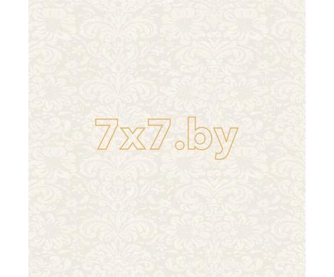 Evolution 2 BWE02302