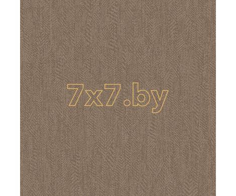 Evolution 2 BWE02431