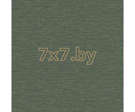 Evolution 2 BWE02401