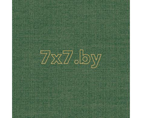Evolution 2 BWE02403