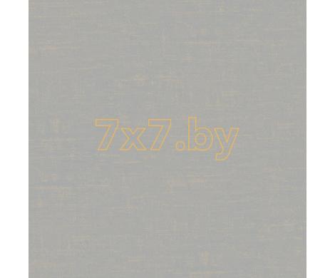 Evolution 2 BWE02404