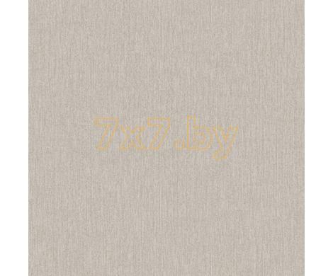 Evolution 2  BWE02406