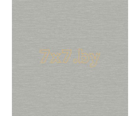 Evolution 2 BWE02407