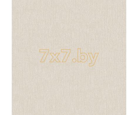 Evolution 2 BWE02414