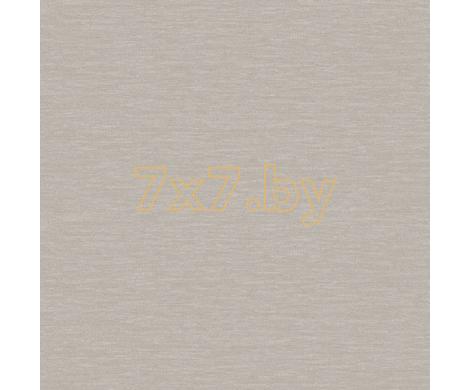 Evolution 2 BWE02415