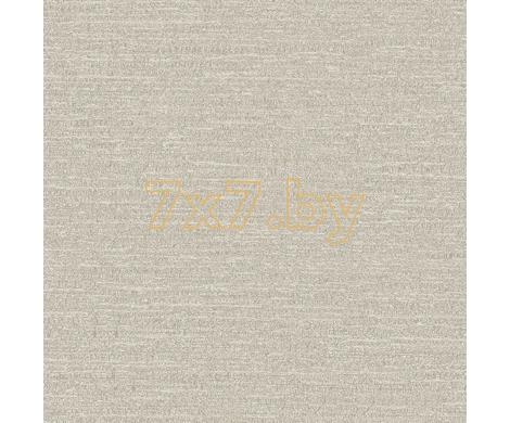 Evolution 2 BWE02423