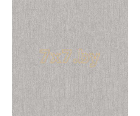 Evolution 2 BWE02424