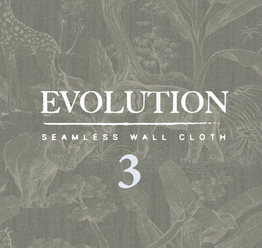 Evolution 3