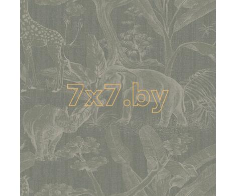 Evolution 3 BWE03103