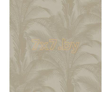 Evolution 3 BWE03301