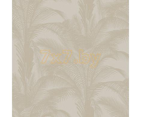 Evolution 3 BWE03302