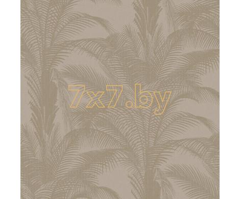 Evolution 3 BWE03304