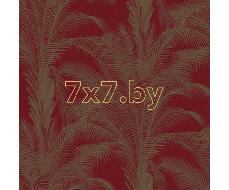 Evolution 3 BWE03305