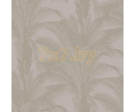 Evolution 3 BWE03306