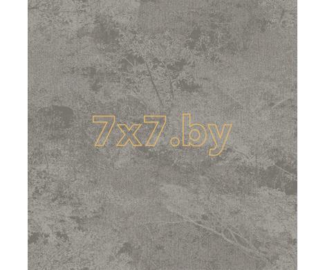 Evolution 3 BWE03501