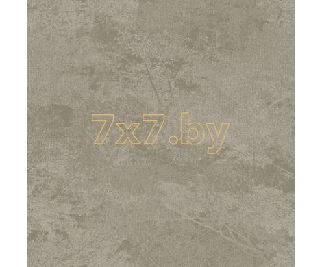 Evolution 3 BWE03502