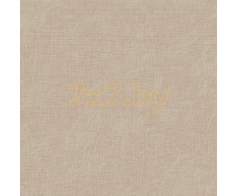 Evolution 3  BWE03401