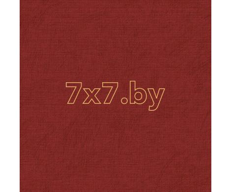 Evolution 3 BWE03403