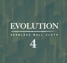 Evolution 4