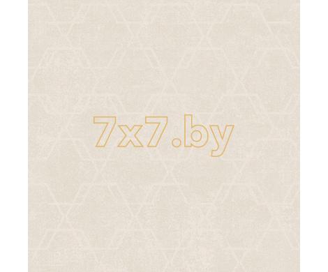 Evolution 4 BWE04202