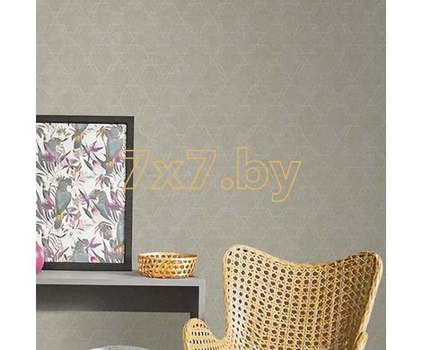 Evolution 4 BWE04204