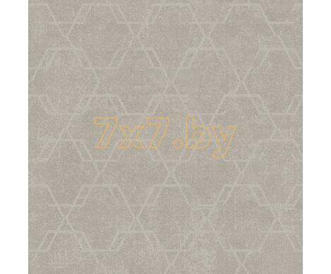 Evolution 4 BWE04204