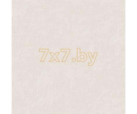 Evolution 4 BWE04505