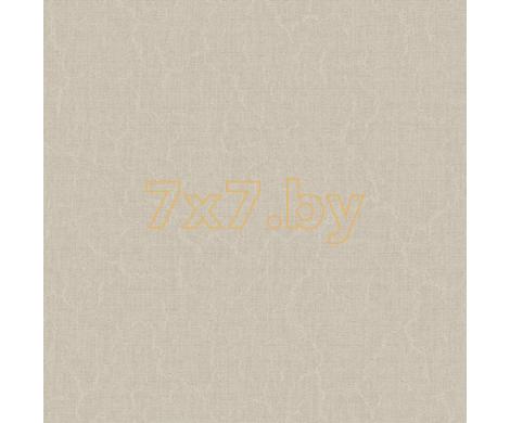 Evolution 4 BWE04509