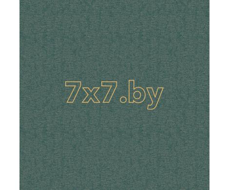 Evolution 4 BWE04516
