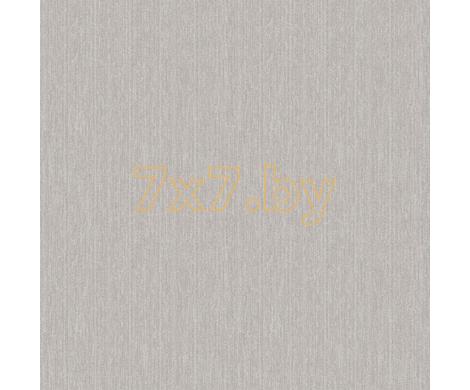 Evolution 4 BWE04522