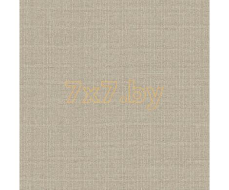 Evolution 4 BWE04524