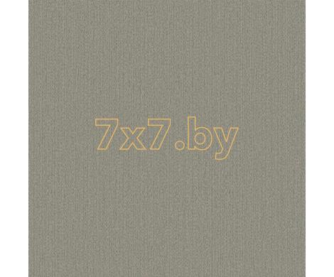 Evolution 4 BWE04525