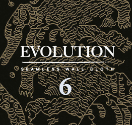 Evolution 6