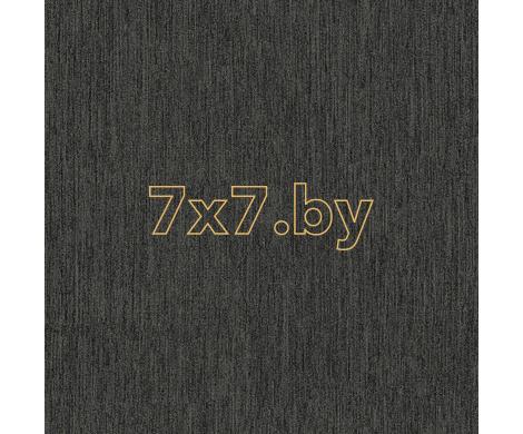 Evolution 6 BWE061501