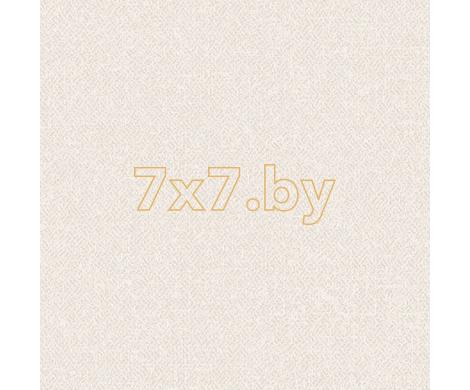 Evolution 6 BWE061101