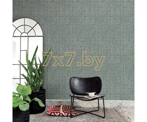 Evolution 6 BWE06204