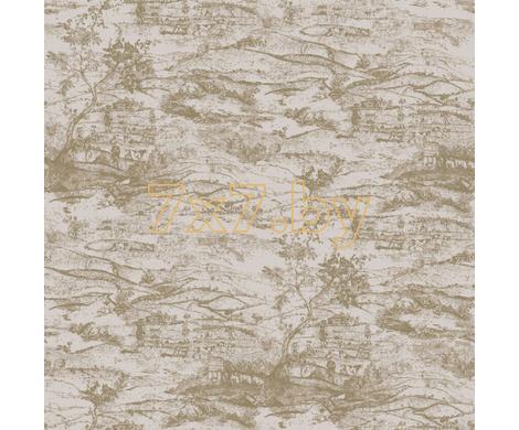 Evolution 6 BWE06301