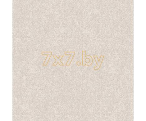 Evolution 6 BWE06401