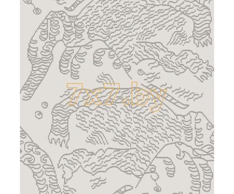 Evolution 6 BWE06501