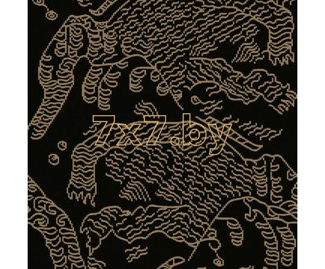 Evolution 6 BWE06504
